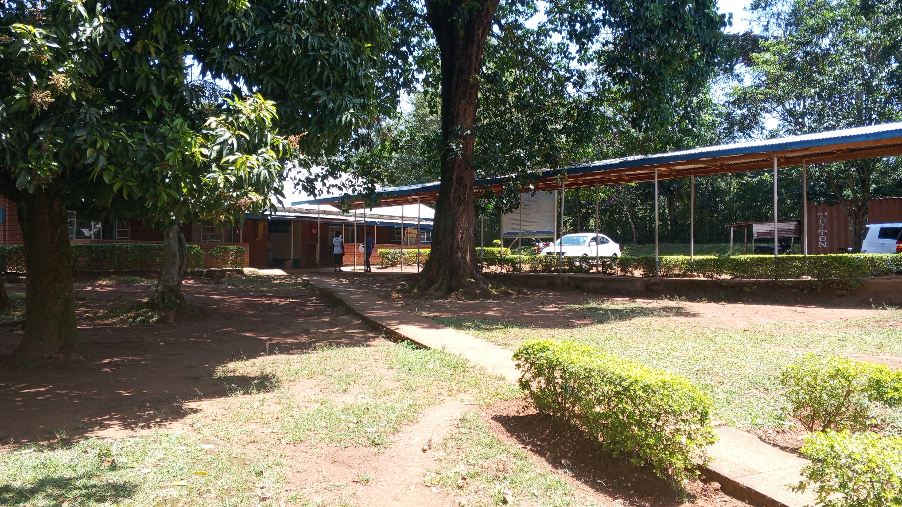 Beautiful hospital grounds with trees, walkways and outpatient facilities at Mwihila Mission Hospital